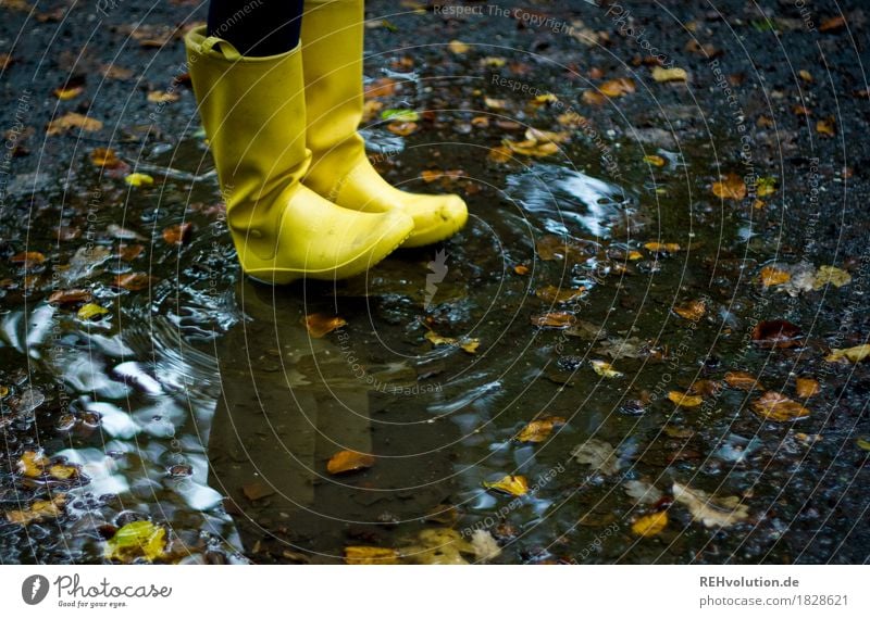 Gelbe Gummistiefel Freizeit & Hobby Ausflug Abenteuer Umwelt Natur Wasser Herbst Wetter schlechtes Wetter Regen authentisch trendy nass natürlich gelb Freude