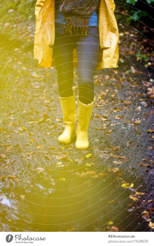 Jule | im Regenmantel Mensch feminin Junge Frau Jugendliche Beine 1 18-30 Jahre Erwachsene Umwelt Natur Landschaft Herbst Wetter schlechtes Wetter Wald