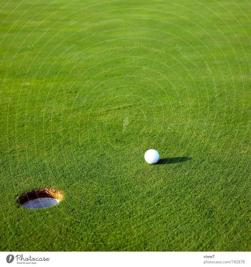 Login Farbfoto Außenaufnahme Detailaufnahme Menschenleer Textfreiraum oben Schatten Starke Tiefenschärfe Golf Umwelt Natur Landschaft Gras Park Wiese Spielen