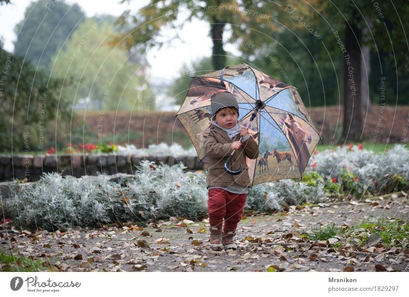 Regenschirm und du Freizeit & Hobby Spielen Kind Kleinkind Junge Kindheit Leben 1 Mensch 1-3 Jahre schön Herbst herbstlich Herbstlaub Oktober Außenaufnahme