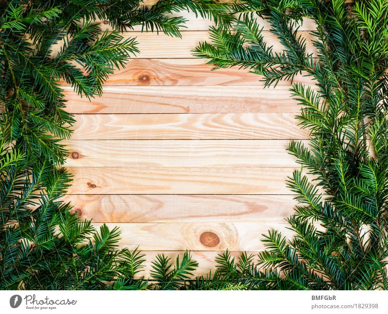 Holzkreis im Tannendickicht Feste & Feiern Weihnachten & Advent Silvester u. Neujahr Werbebranche Natur Winter Tannenzweig Schilder & Markierungen Hinweisschild