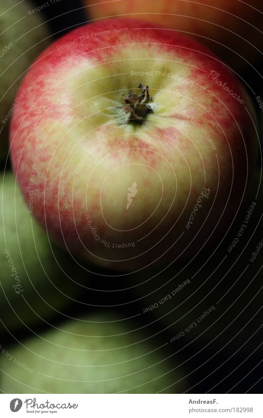 Apple Farbfoto Innenaufnahme Nahaufnahme Detailaufnahme Textfreiraum unten Lebensmittel Frucht Apfel Ernährung Umwelt Natur Baum Gesundheit Obstkorb Obstschale