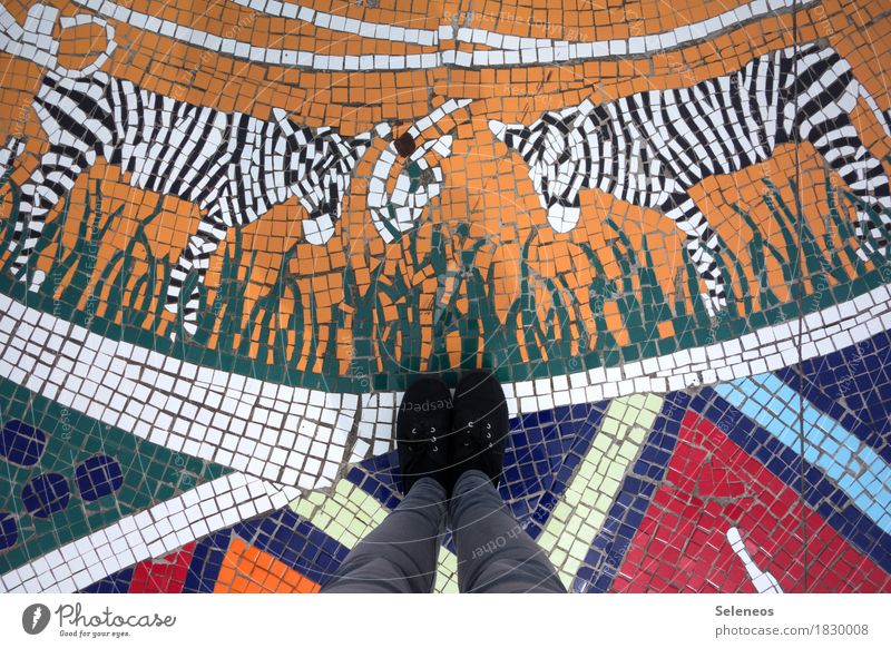Safari Handarbeit Ferien & Urlaub & Reisen Tourismus Städtereise Expedition Mensch Beine Fuß 1 Tier Wildtier Zebra 2 Mosaik Zeichen Ornament