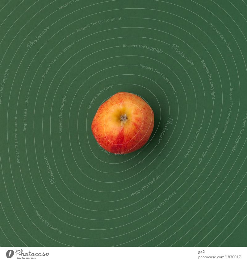 Apfel Lebensmittel Frucht Ernährung Essen Bioprodukte Vegetarische Ernährung Diät Fasten Gesundheit Gesundheitswesen Gesunde Ernährung einfach lecker grün rot