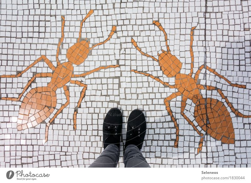 Panik! Handarbeit Mosaik Mensch Beine Fuß 1 Schuhe Tier Ameise 2 stehen gigantisch groß gruselig Angst gefährlich Stress Kreativität Mut Farbfoto Außenaufnahme