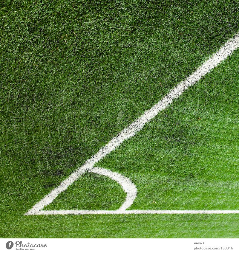 60 Grad Farbfoto Außenaufnahme Detailaufnahme Menschenleer Textfreiraum oben Licht Starke Tiefenschärfe Fußballplatz Natur Gras Zeichen Schilder & Markierungen