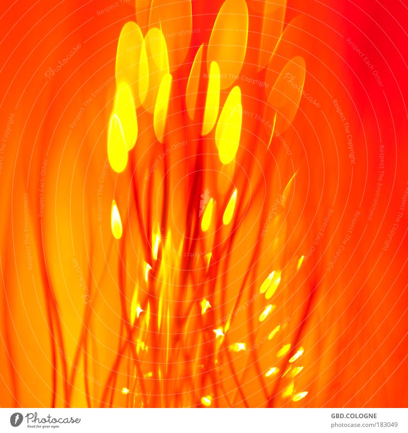 Feuerlicht Farbfoto mehrfarbig Innenaufnahme Studioaufnahme Nahaufnahme Detailaufnahme Makroaufnahme Experiment abstrakt Menschenleer Textfreiraum rechts