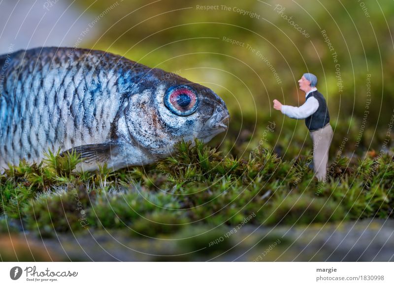 Miniwelten - Hör mir gut zu.... Lebensmittel Fisch Angeln Mensch maskulin Mann Erwachsene 1 Natur Pflanze Gras Tier blau grün Fischauge Schuppen Rede