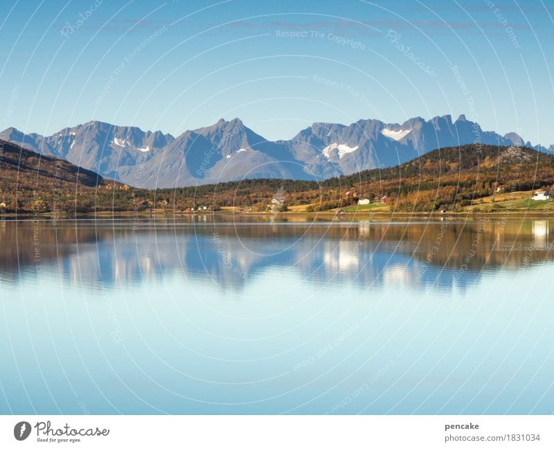 wo die berge ins meer fallen Natur Landschaft Urelemente Wasser Himmel Herbst Schönes Wetter Berge u. Gebirge Fjord Lebensfreude frei Norwegen Norwegenurlaub