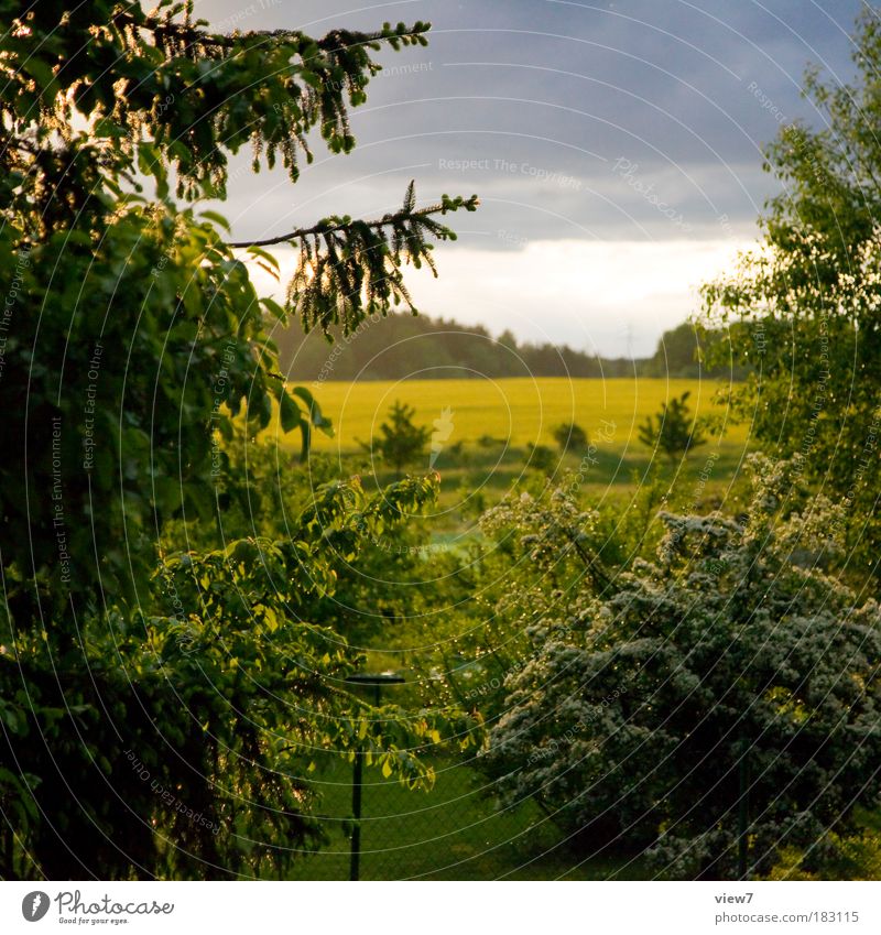 Sonnenschein nach Regen. Farbfoto mehrfarbig Außenaufnahme Detailaufnahme Menschenleer Tag Abend Starke Tiefenschärfe Panorama (Aussicht) Umwelt Natur