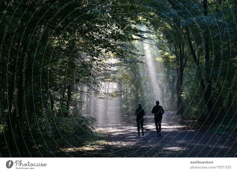 Jogger im nebligen Wald Lifestyle Fitness Freizeit & Hobby Sport Joggen Mensch Frau Erwachsene Mann Paar 2 Natur Herbst Wetter Nebel laufen dunkel Lichtstrahl