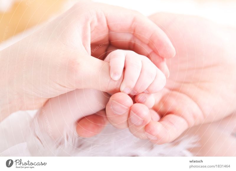 Finger halten Glück Körper harmonisch Wohlgefühl Zufriedenheit Erholung Geburtstag Kind Mensch Baby Kleinkind Familie & Verwandtschaft Leben Hand 3 0-12 Monate