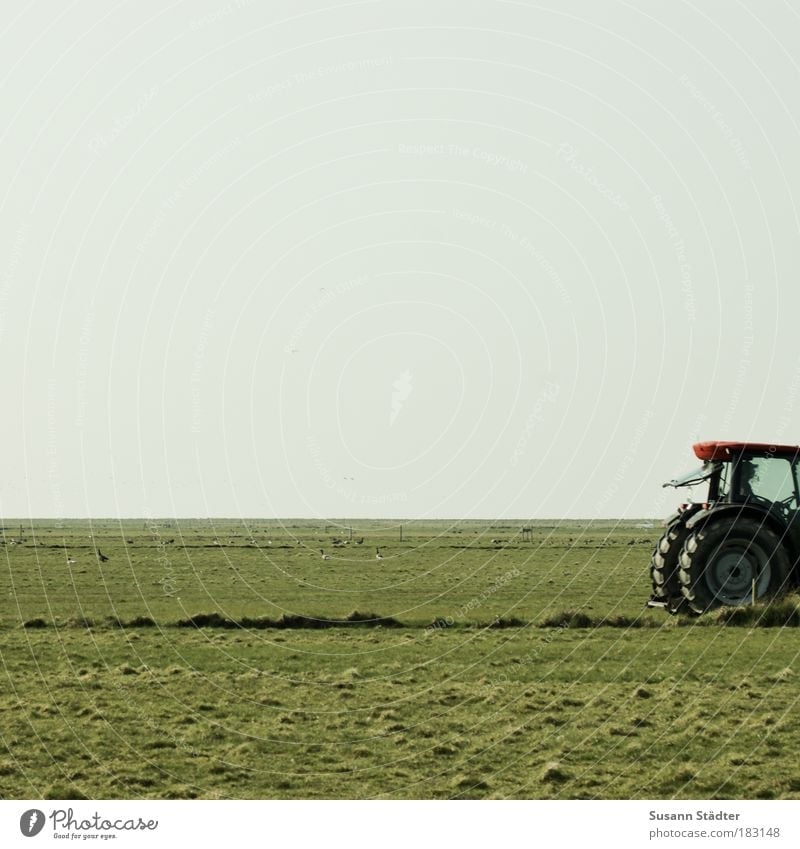 Kleiner roter Traktor Maschine Motor Technik & Technologie Landschaft Pflanze Wiese Feld Küste Nordsee Insel fahren Grasbüschel Ernte Ackerbau Landwirtschaft