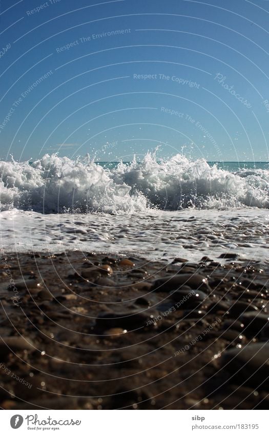 Das Meer kommt... Farbfoto Außenaufnahme Textfreiraum oben Tag Sonnenlicht Ferien & Urlaub & Reisen Sommerurlaub Wellen Wasser Wolkenloser Himmel Strand