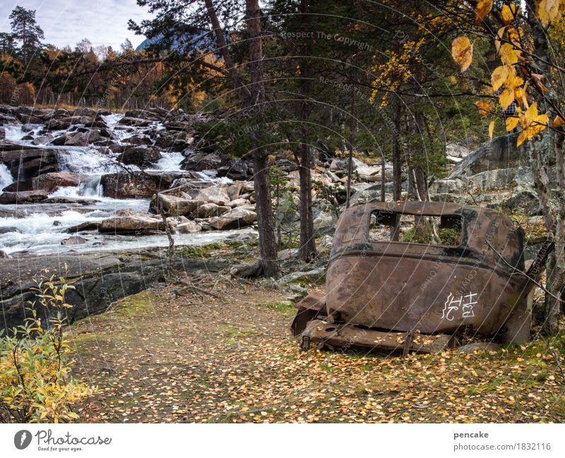 vom rasten und rosten Kunst Skulptur Natur Landschaft Urelemente Wasser Herbst Wald Fluss Wasserfall Fahrzeug PKW Oldtimer historisch nackt retro trashig Idylle