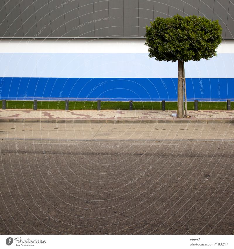 EINBAUM Farbfoto mehrfarbig Außenaufnahme Detailaufnahme Menschenleer Textfreiraum unten Starke Tiefenschärfe Natur Pflanze Baum Gras Haus Industrieanlage Mauer