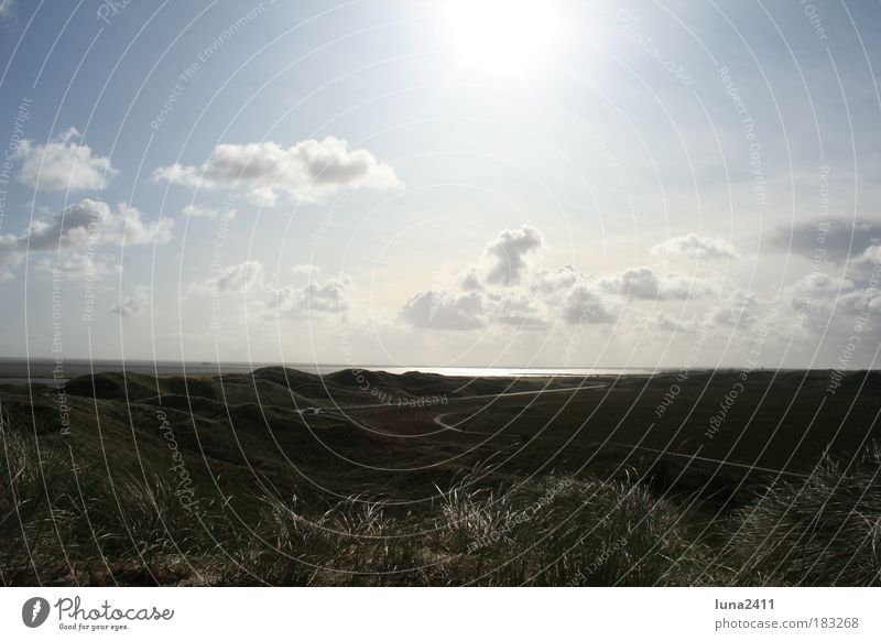 Dünenlandschaft Farbfoto Außenaufnahme Menschenleer Morgen Sonnenstrahlen Gegenlicht Totale Natur Erde Himmel Wolken Sonnenlicht Schönes Wetter Gras Hügel Küste
