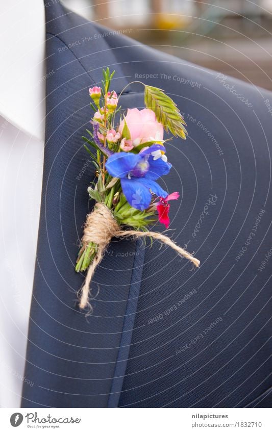 Ansteckblume Braeutigam Natur Liebe blue Anzug "Blume," Strauß Bräutigam Ehe Heiraten Hochzeit Hochzeitstag (Jahrestag) Feste & Feiern Blüte Jacke Pflanze