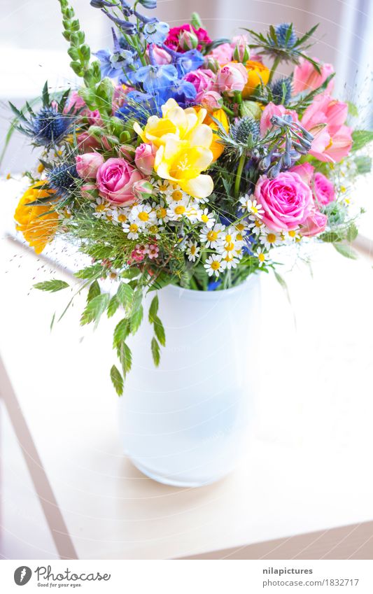Strauss mit Wildblumen in weisser Vase Lifestyle elegant Design Freude Glück schön harmonisch Wohlgefühl Zufriedenheit Erholung ruhig Duft Wohnung Natur Pflanze