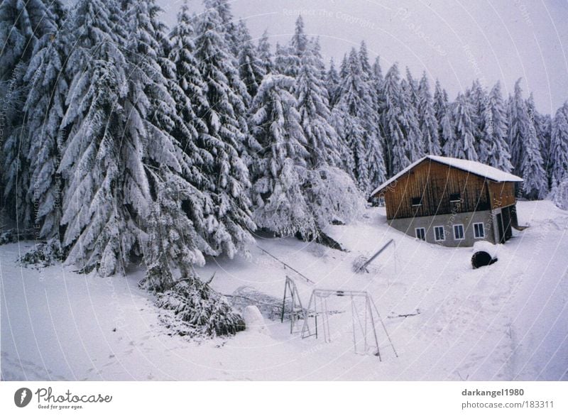 Wintertraum Farbfoto Außenaufnahme Menschenleer Abend Blick in die Kamera Landschaft Schnee Wald Dorf Haus ästhetisch schön Stimmung kalt