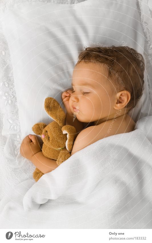 Baby K. maskulin Kind Kleinkind Junge 1 Mensch 0-12 Monate 1-3 Jahre brünett kurzhaarig Spielzeug Stofftiere schlafen Umarmen kuschlig Wärme Gefühle