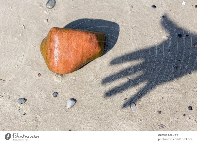 Handschattenstein Leben Ferien & Urlaub & Reisen Sommer Sommerurlaub Strand Finger Natur Sand Schönes Wetter Stein berühren einfach nass orange Vorfreude
