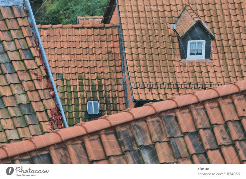 Dachlandschaft (1) Kleinstadt Haus Dachfirst Dachziegel Dachfenster alt authentisch außergewöhnlich historisch rot Zufriedenheit Geborgenheit Zusammensein