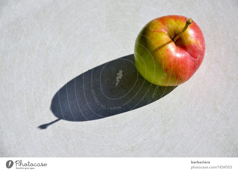 Apfel und sein Schatten Frucht Garten Tisch liegen frisch lecker rund saftig gelb rot ästhetisch Gesundheit Natur Farbfoto Außenaufnahme Muster