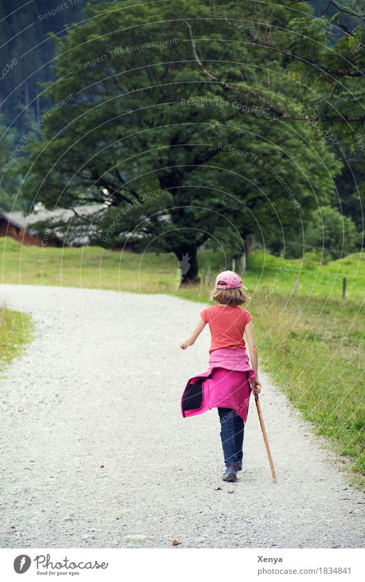 Wandern Berge u. Gebirge wandern feminin Kind 1 Mensch 8-13 Jahre Kindheit Natur Sommer Baum grau grün rosa Ferien & Urlaub & Reisen Fußweg Farbfoto