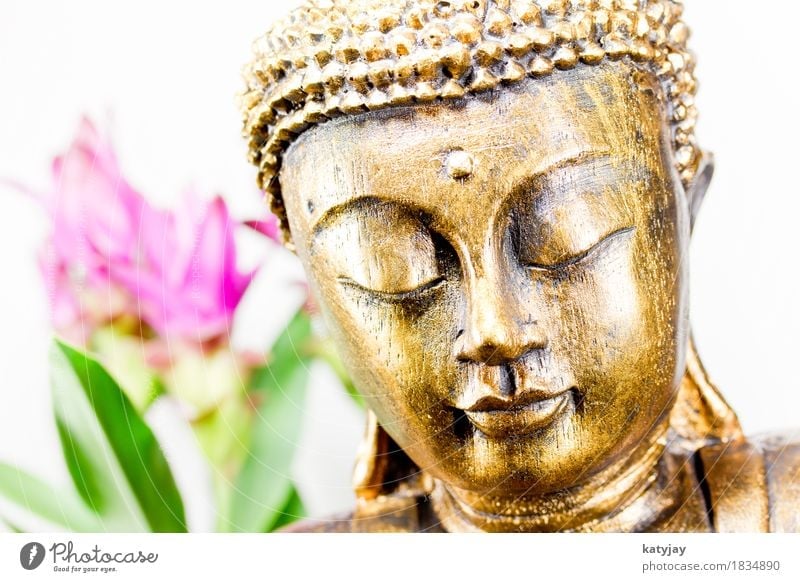 Buddha Buddhismus siddhartha Religion & Glaube Meditation Wellness Erkenntnis Statue ruhig Massage Erholung Gesicht Asien Gebet kultig Kunst Kultur Verstand
