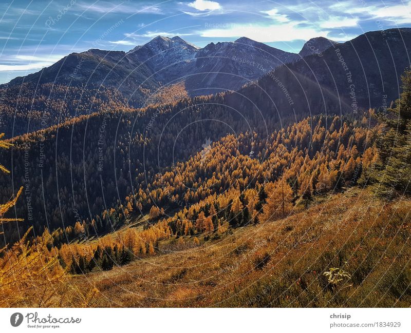 Herbst am Berg Umwelt Natur Landschaft Himmel Wolken Schönes Wetter Schnee Baum Gras Wald Felsen Alpen Gipfel Schneebedeckte Gipfel Ferne Freundlichkeit schön