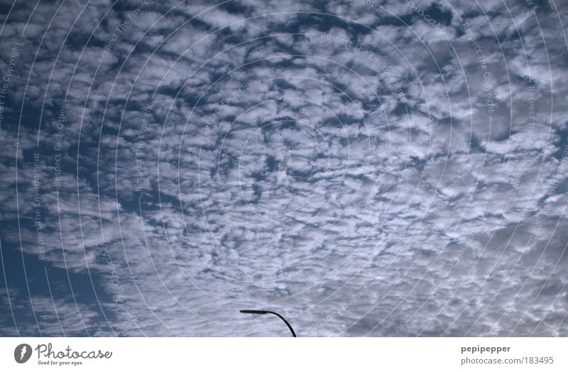 Einsamkeit Außenaufnahme Menschenleer Morgendämmerung Dämmerung Weitwinkel Natur Landschaft Luft Himmel nur Himmel Wolken Gewitterwolken Nachthimmel Horizont