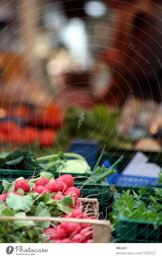 Marktgeschrei Farbfoto Außenaufnahme Tag Zentralperspektive Lebensmittel Gemüse Ernährung Bioprodukte Vegetarische Ernährung Gesundheit Qualität Marktstand