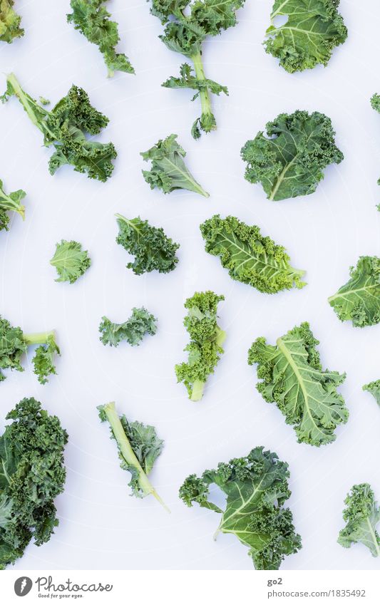Grünkohl Lebensmittel Gemüse Grünkohlblatt Ernährung Essen Bioprodukte Vegetarische Ernährung Diät Fasten Gesunde Ernährung Koch frisch Gesundheit grün weiß