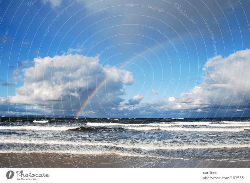 Du kannst nicht alles haben .... Farbfoto Außenaufnahme Menschenleer Tag Lichterscheinung Starke Tiefenschärfe Weitwinkel Erholung ruhig Strand Meer Wellen