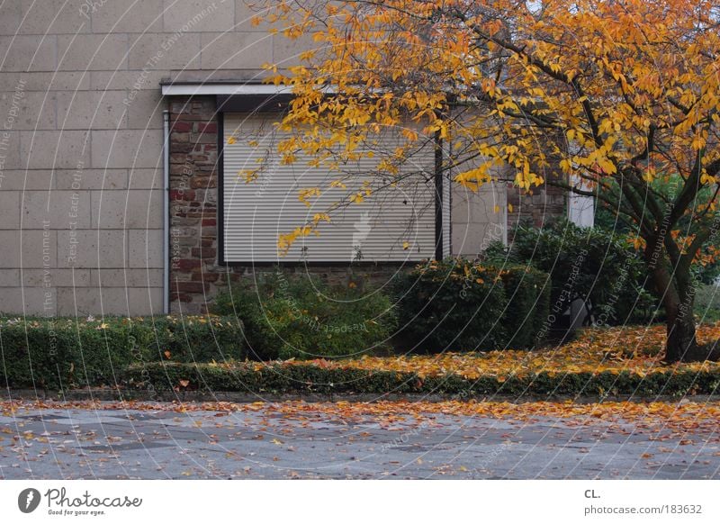 herbst09 Umwelt Natur Herbst Wetter Wind Blatt Wiese Haus Mauer Wand Fenster Straße Häusliches Leben Sicherheit Langeweile Traurigkeit Fernweh Enttäuschung