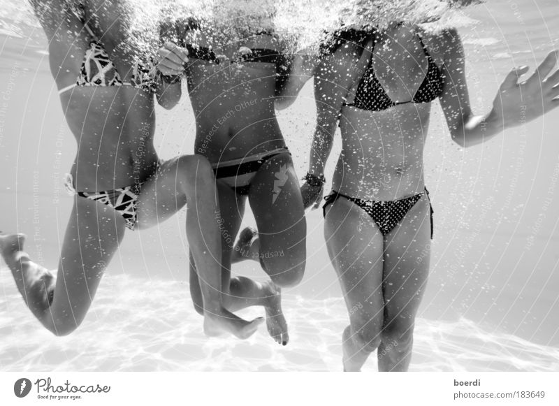 dRei engel Schwimmen & Baden Ferien & Urlaub & Reisen Tourismus Sommer Sommerurlaub tauchen Schwimmbad 3 Mensch Wasser Mode Bikini Badehose gehen laufen nass