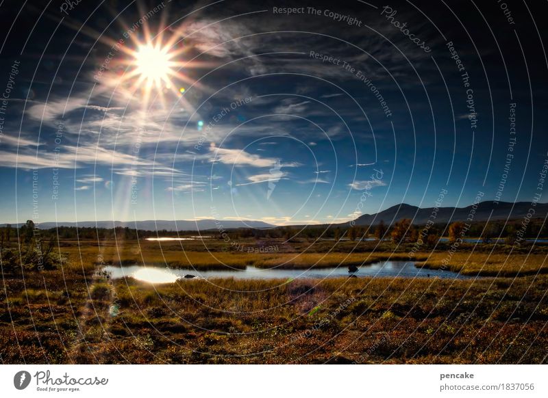 lichtleiter Natur Landschaft Sonnenlicht Herbst Schönes Wetter Blick wandern außergewöhnlich fantastisch Stimmung Norwegen Dovrefjell Stern Himmelsleiter