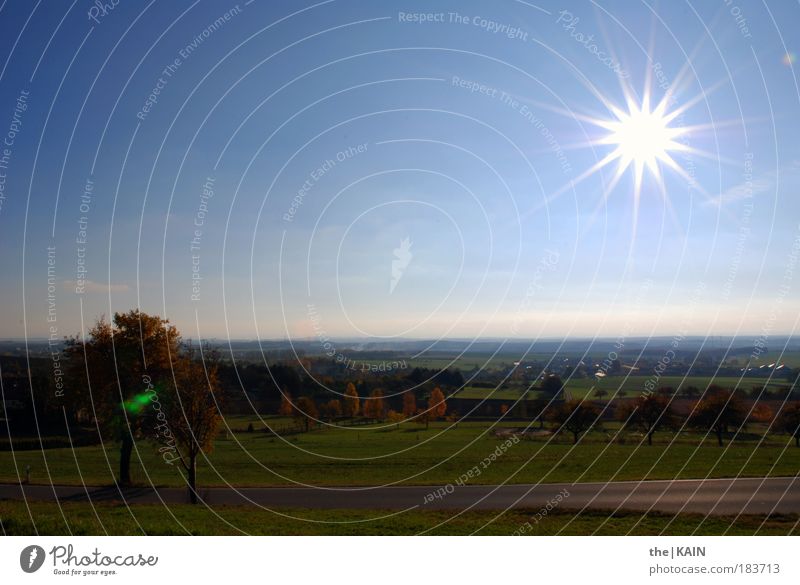 Herbstliche Aussichten Farbfoto mehrfarbig Außenaufnahme Textfreiraum oben Hintergrund neutral Tag Licht Kontrast Sonnenlicht Sonnenstrahlen Gegenlicht