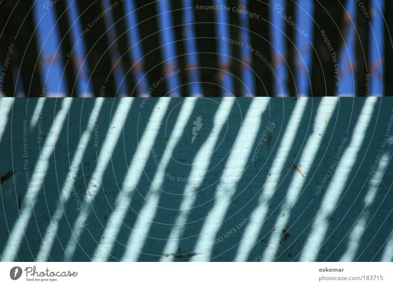 streifenblau Farbfoto Außenaufnahme abstrakt Muster Strukturen & Formen Menschenleer Tag Schatten Kontrast Sonnenlicht Holz Ornament Linie Streifen ästhetisch