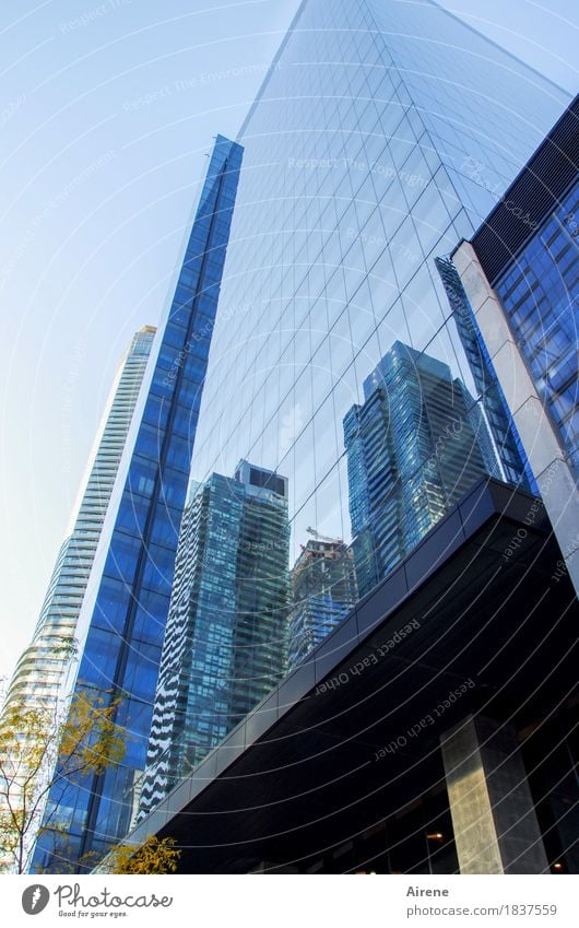 Symbole der Macht I Kanada Amerika Nordamerika Stadt Stadtzentrum Skyline Menschenleer Hochhaus Fassade Fenster Beton Glas ästhetisch gigantisch glänzend