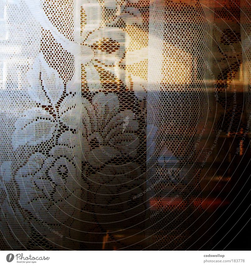 curtain twitcher Farbfoto Außenaufnahme Detailaufnahme abstrakt Strukturen & Formen Textfreiraum rechts Dämmerung Lifestyle elegant Stil Häusliches Leben