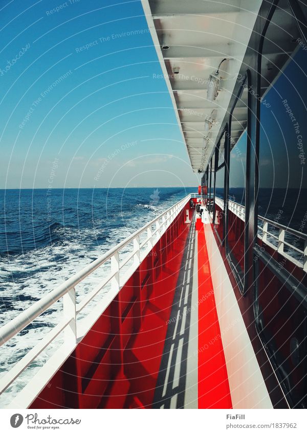 Die Brise spüren Abenteuer Ferne Wasser Sonne Sommer Wellen Verkehr Bootsfahrt Passagierschiff Fähre zurückhalten Farbfoto Außenaufnahme Detailaufnahme