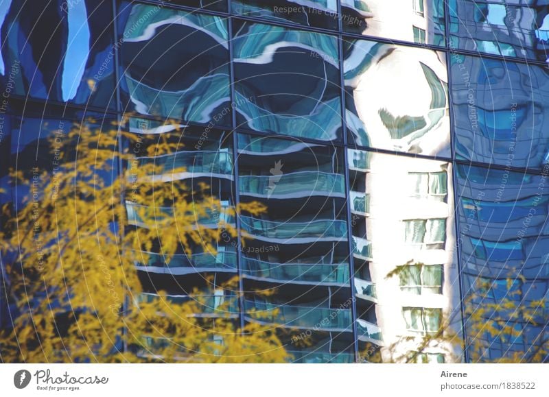 Halluzination Baum Herbstlaub Stadt Stadtzentrum Hochhaus Fassade Glas außergewöhnlich fantastisch hoch verrückt blau gelb bizarr Irritation Blähungen