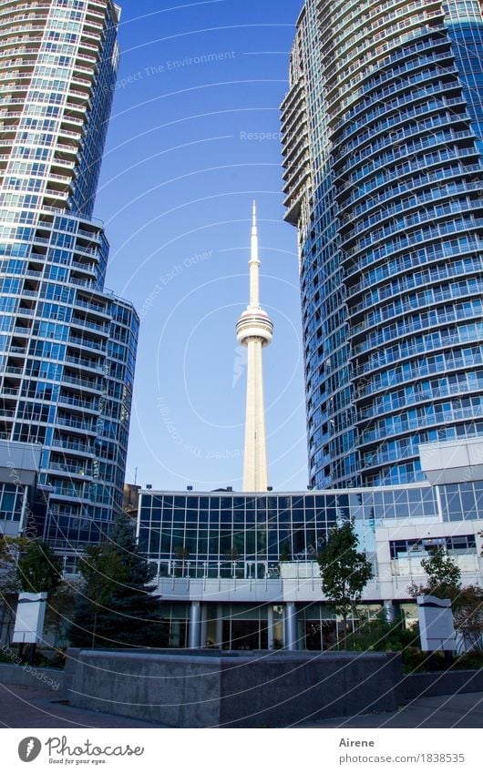 Alles ist relativ, Teilansicht Skyline Toronto Technik & Technologie Unterhaltungselektronik Telekommunikation Himmel Wolkenloser Himmel Stadt Stadtzentrum
