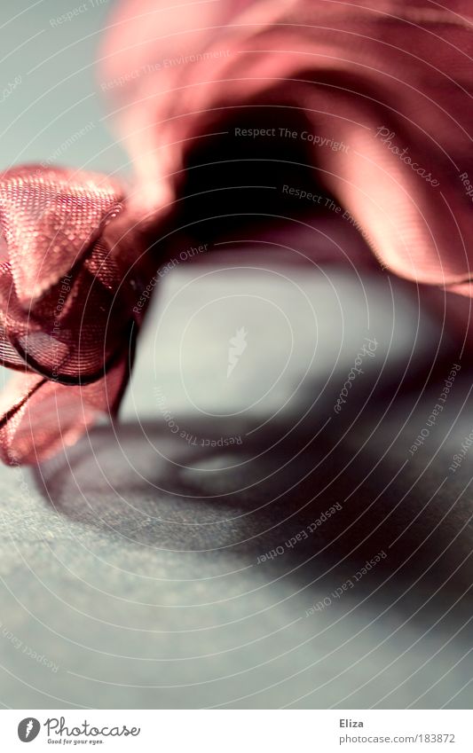 Kräuselig Farbfoto Innenaufnahme Detailaufnahme abstrakt Muster Schleife ästhetisch Geschenkband rosa Schatten blau Satin Textfreiraum unten Valentinstag