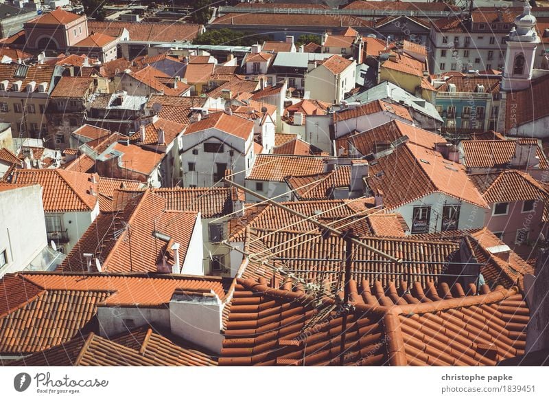 Gut bedacht Ferien & Urlaub & Reisen Städtereise Sommer Sommerurlaub Lissabon Portugal Stadt Hauptstadt Stadtzentrum Altstadt Menschenleer Haus Architektur Dach