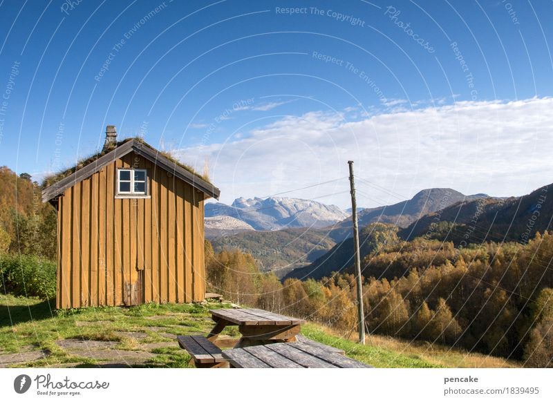 schau ins land (1) Natur Landschaft Herbst Berge u. Gebirge Menschenleer Haus Hütte einzigartig retro Norwegen Alm Freilichtmuseum Holzhaus Strommast Ferne