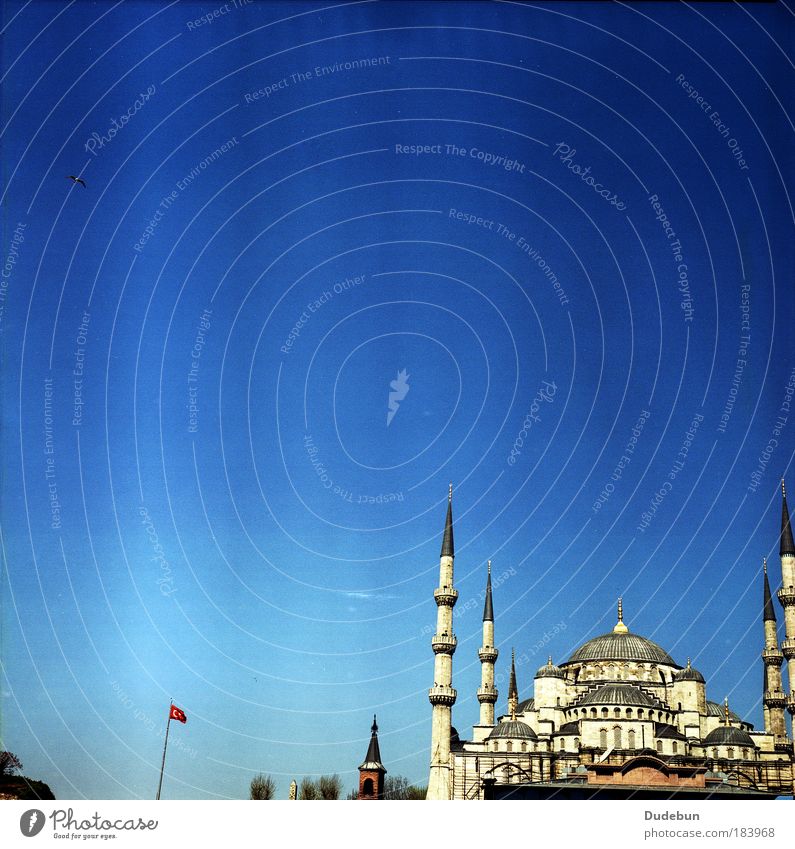 Die blaue Moschee Istanbul Kirche Wahrzeichen Blaue Moschee historisch Religion & Glaube Blauer Himmel Minarett Islam Gebetsstätte Sehenswürdigkeit Türkei