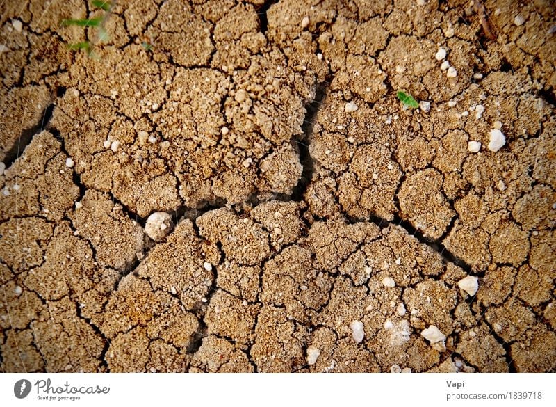 Trockener gelber Boden in der Wüste Sommer Umwelt Natur Erde Sand Klima Wetter Dürre Stein dreckig heiß natürlich braun Desaster trocknen Land Konsistenz